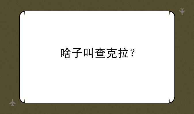 啥子叫查克拉？