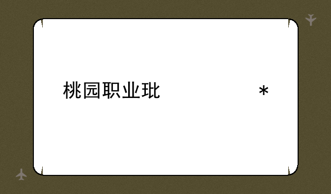 桃园职业环任势
