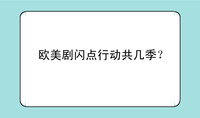 欧美剧闪点行动共几季？
