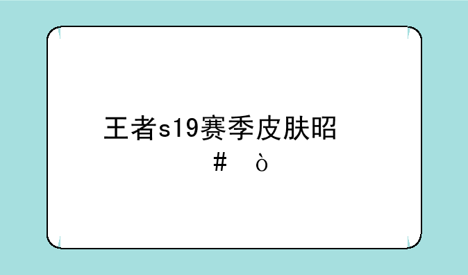 王者s19赛季皮肤是什么？