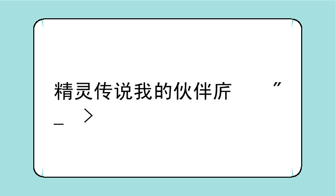 精灵传说我的伙伴序列号