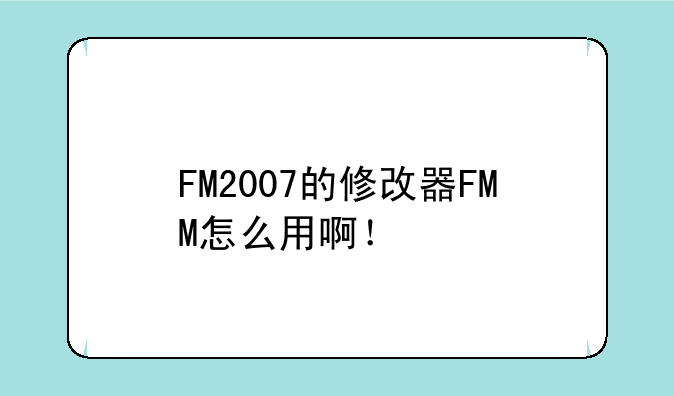 FM2007的修改器FMM怎么用啊！