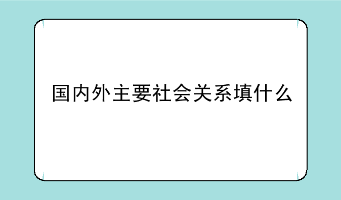 国内外主要社会关系填什么