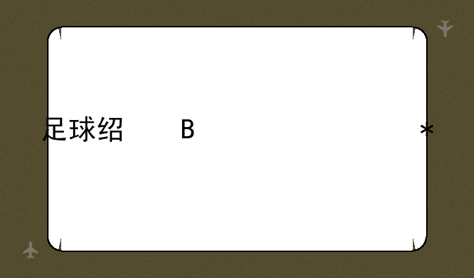 足球经理2021移动版中文版零壹汉化版v12.0.2如何下载